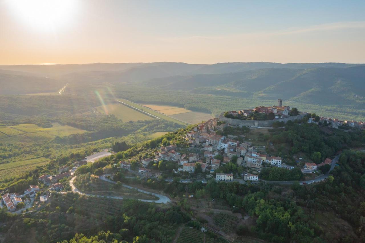 Toro Motovun